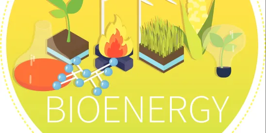 Bioenergy Technologies Office Feedstock-Conversion Interface Consortium Call