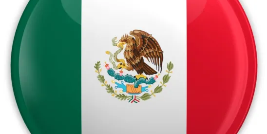 Mexican Online Immigration Appointment System