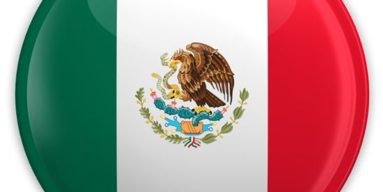 Mexican Online Immigration Appointment System