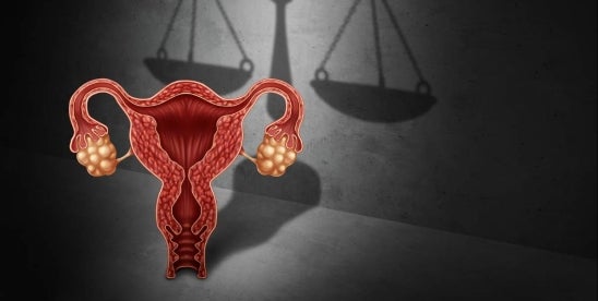 2024 US Election Reproductive Rights