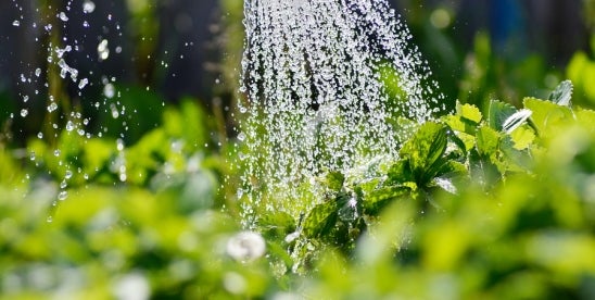 Farm Groups and Mississippi Sue DOL to Block H-2A Worker Rule