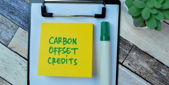 Federal government agencies prosecute carbon credit fraud