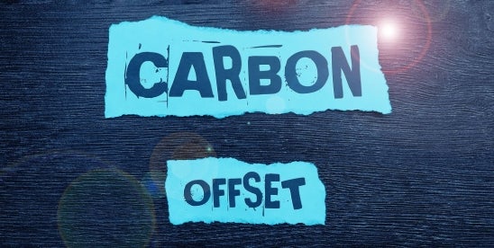 Voluntary Carbon Markets