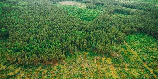 European Union Deforestation Regulation Implementation Documents