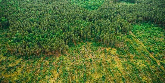 Environmental Due Diligence in Real Estate Transactions