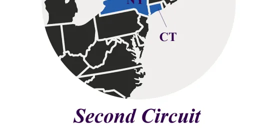 Second Circuit Reading of VPPA