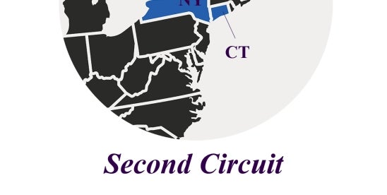 Second Circuit Reading of VPPA