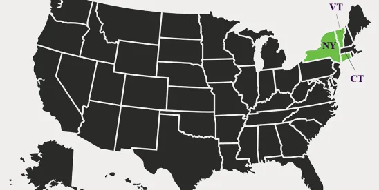 Second Circuit VPPA Proposed Class Action Revival
