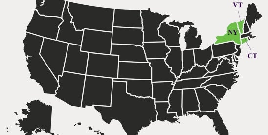 Second Circuit VPPA Proposed Class Action Revival