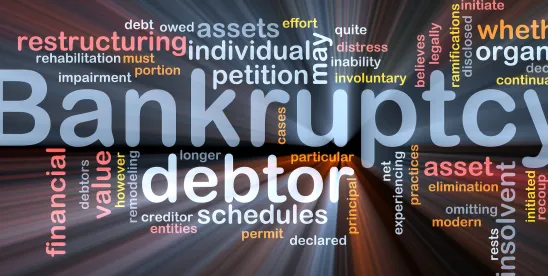 First Circuit Bankruptcy Alert