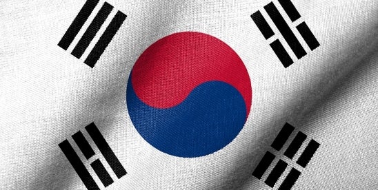 Understanding Performance-Based Terminations in South Korea