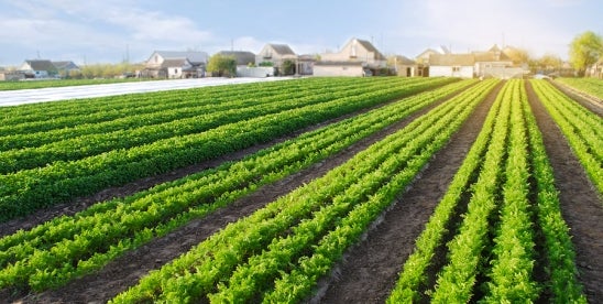 USDA Workshop Develops PFAS Solutions for Agriculture