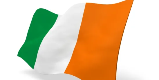 Irish Fast-Track Filing Process