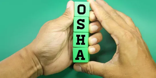 Benefits and Risks of Voluntary OSHA Safety Audits Explained