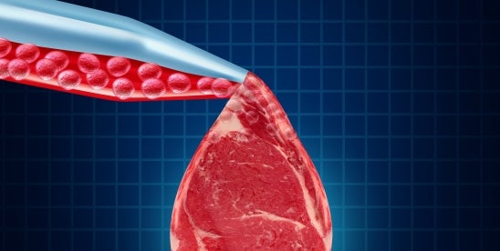 Lawsuit Targeting its Cultivated Meat Ban