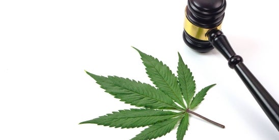 Attorney General Cannabis Implications