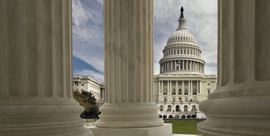 Congress Tackles Relief, Advances Patent Bills, Trump Nominations