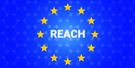 ECHA Considers Alternatives to PFAS Bans in Ongoing Review
