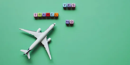 Holiday Travel Tips for Foreign Nationals