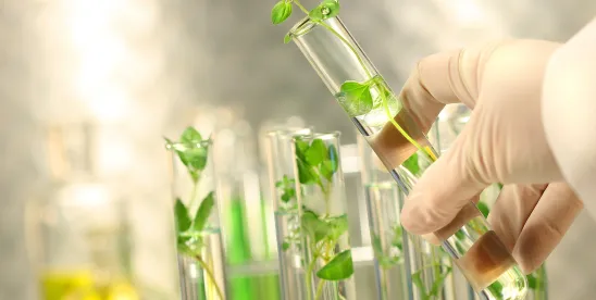 International Bioeconomy Forum 2025 Launch Announced