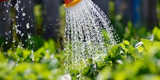 Treatment for Pre-Harvest Water  