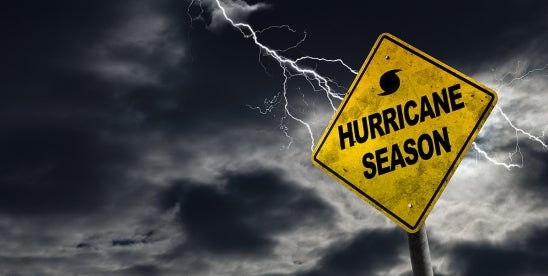 Estate Law After Weathering the Storm