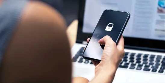 5 States Set to Enforce New Consumer Privacy Laws in 2025