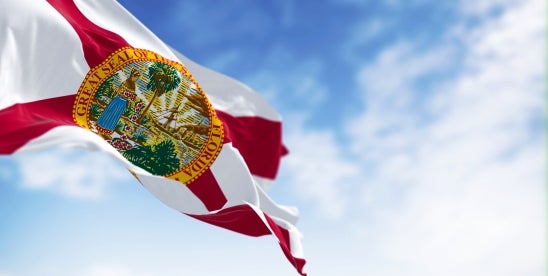 Florida medical expense evidence restrictions rejection