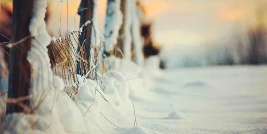 Winter Storm Closures: Wage and Hour Considerations for Employers