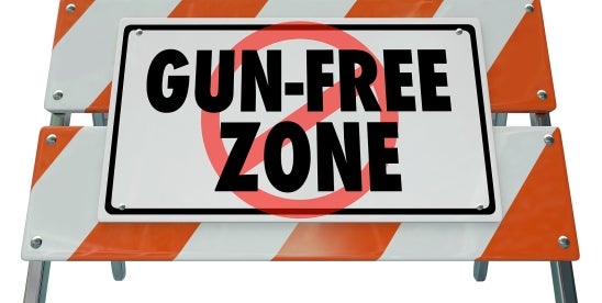 Michigan Court Rules on School Shootings