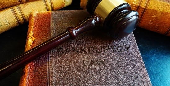 Bankruptcy Alert January 6, 2025