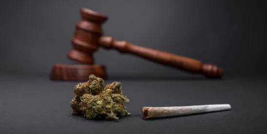 Navigating Cannabis Insurance: Key Challenges and Solutions
