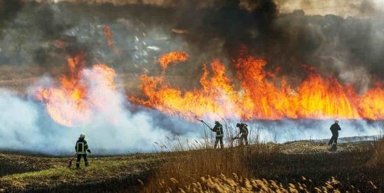 Maximize Insurance Coverage After California Wildfires