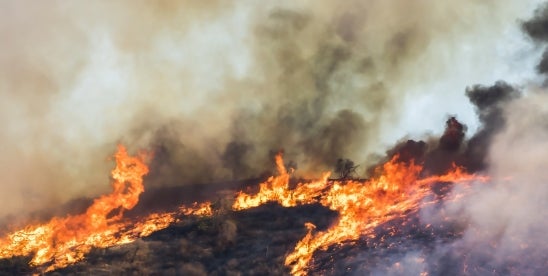 Los Angeles Wildfire Insurance Steps