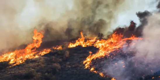 CA Mortgage Deferment Act Offers Relief for Wildfire Victims