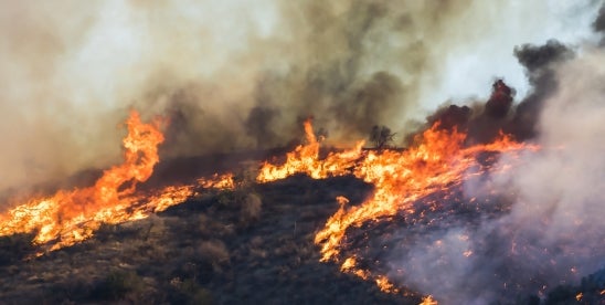 CA Mortgage Deferment Act Offers Relief for Wildfire Victims