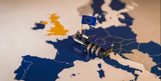 EU Data Privacy and Cybersecurity