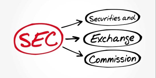 SEC Leadership Shifts and Key 2024 Developments