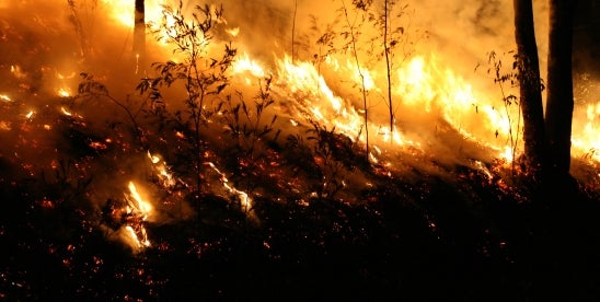 Insurance Claims for Los Angeles Wildfires