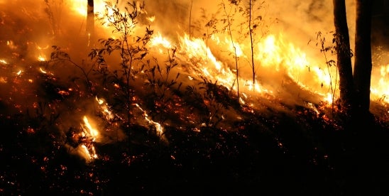 Aftermath of the California Wildfires