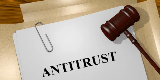 FTC and DOJ's 2025 Antitrust Guidelines