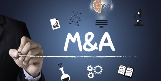 M&A Trends: Economic Recovery and Lower Rates Drive Growth