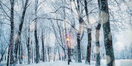 Tips for Paying Employees During Winter Weather Closures