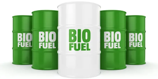 EPA Proposes Partial Waiver for 2024 Cellulosic Biofuel Requirement