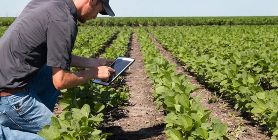 Court Vacates APHIS Rule on GE Organisms.