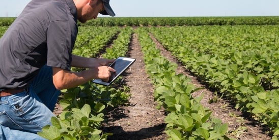 Court Vacates APHIS Rule on GE Organisms.