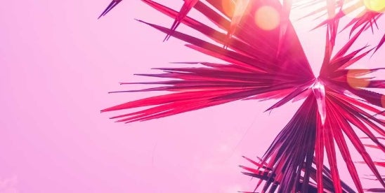 Federal Circuit Rules CeramTec’s Pink Color Trademark is Functional