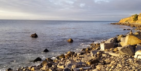 Regulatory Taking Dispute Over Massachusetts Wetland Protections