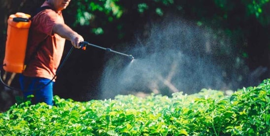 Submit Your Pesticide Production Report by March 1, 2025