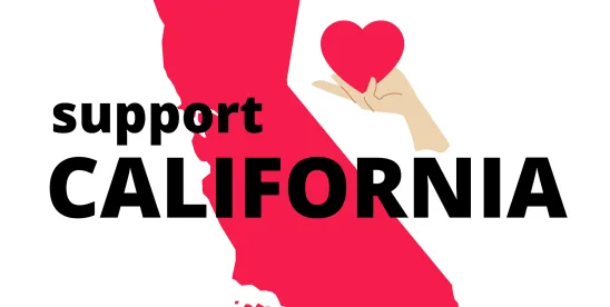 Support for Homeowners Affected by LA Wildfires